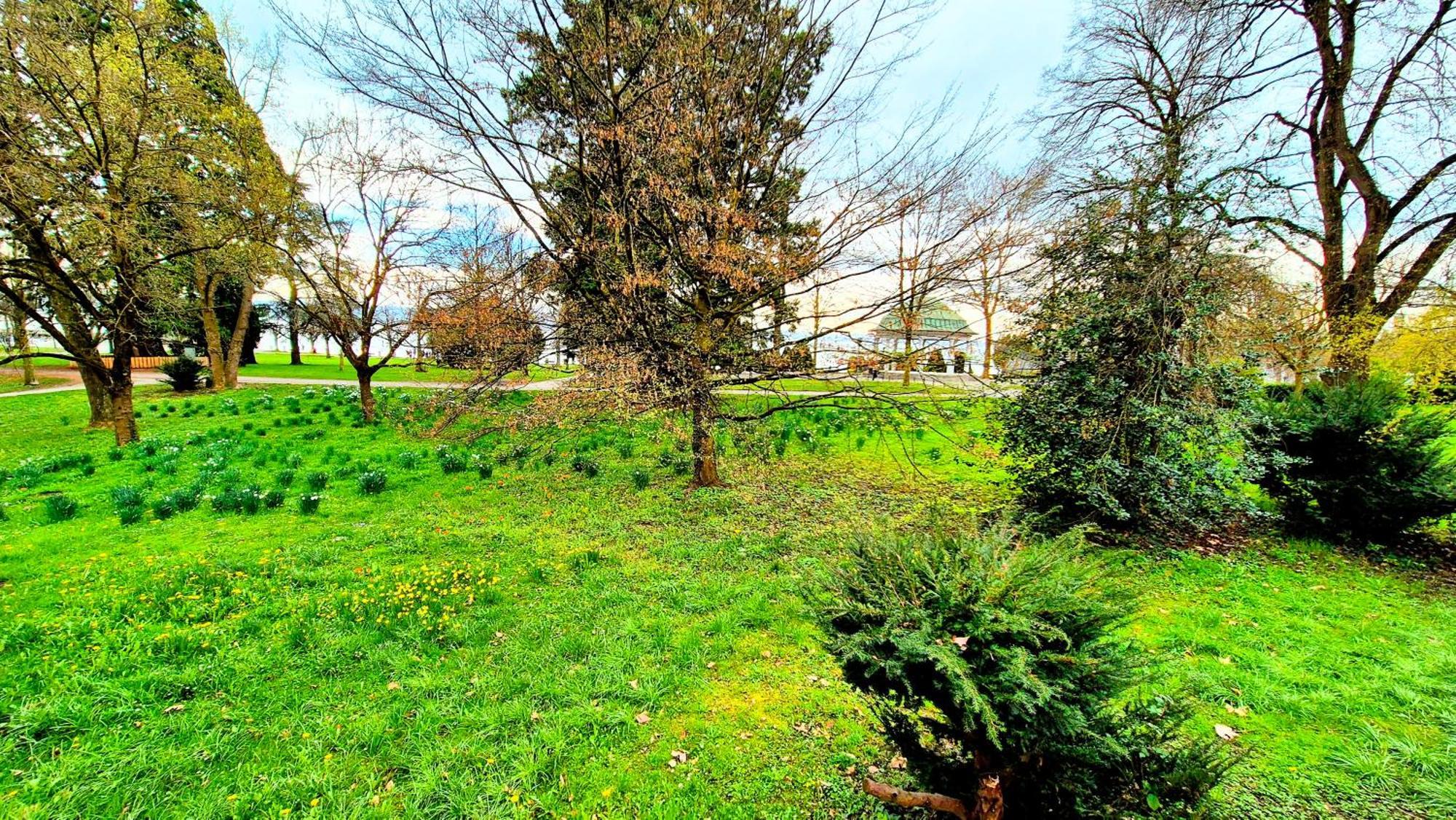Bodensee City Apartment Friedrichshafen Casa Graf Exterior foto